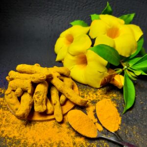 EVERST HALDI POWDER